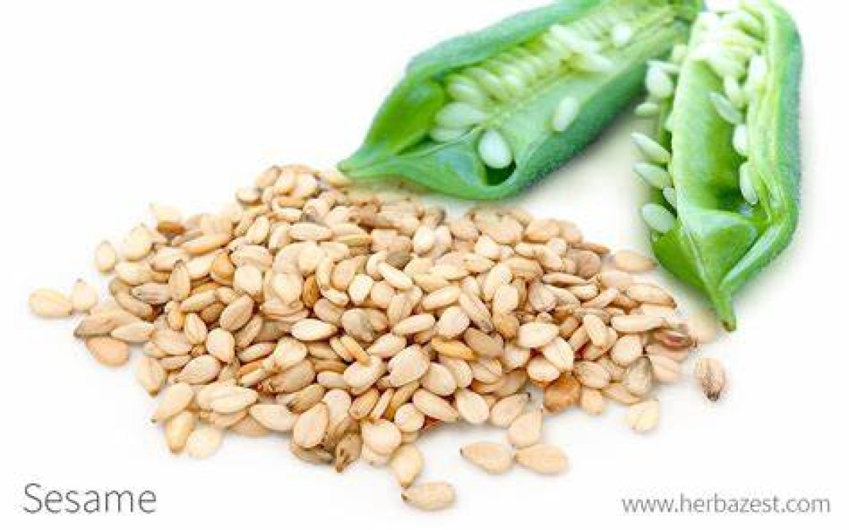 sesam from Zuid-Soedan
